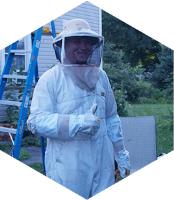Bee Man Removal & Relocation  image 6